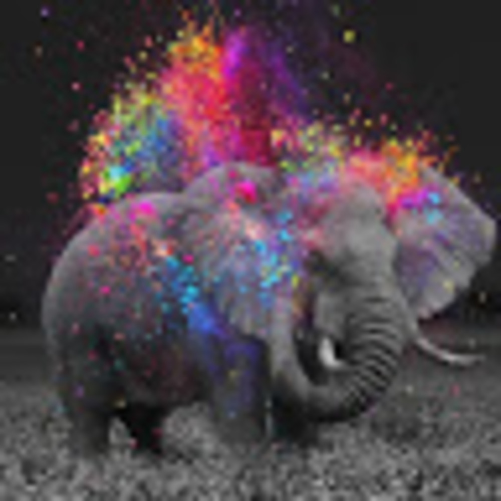 Meet your Posher, Terri